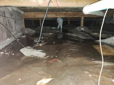 Water Damage Site