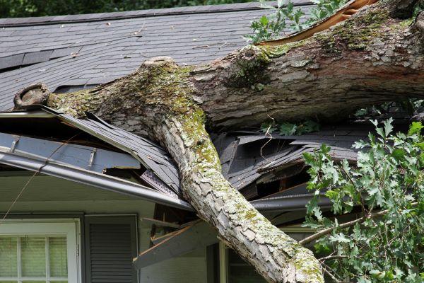 Storm Remediation in Frankfort