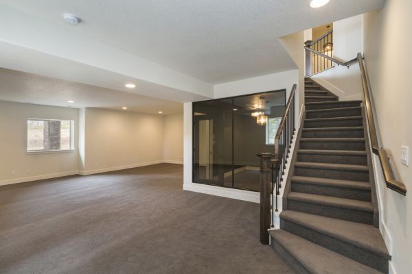 Basement Restoration Service in Frankfort