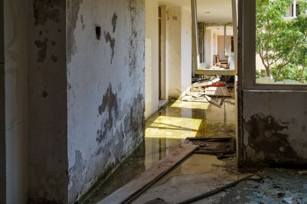 Cost of Water Removal Service in Frankfort
