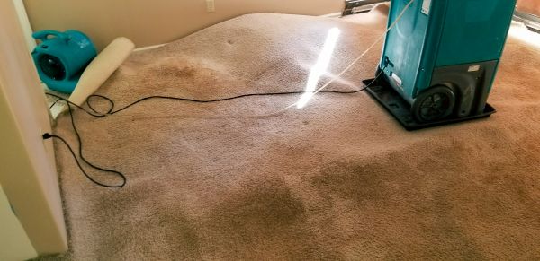 Carpet Water Extraction in Frankfort