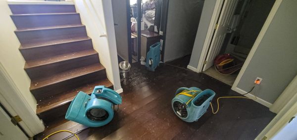 Water Damage Remediation in Frankfort