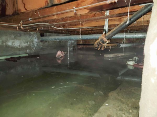 Water Mitigation Service in Frankfort