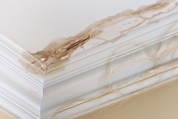 Water Damage Recovery in Frankfort